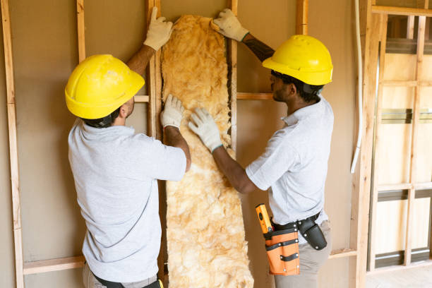 Best Attic Insulation Installation  in Nikiski, AK